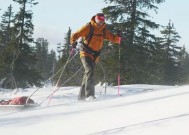 英国队残疾运动员希望以单人滑雪跋涉南极创造历史